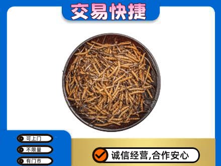 韶关武江区回收散虫草